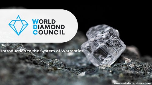 WDC System of Warranties Guidelines